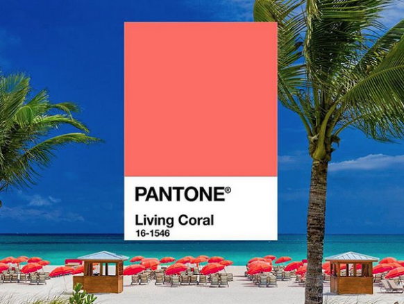 Pantone2019.png